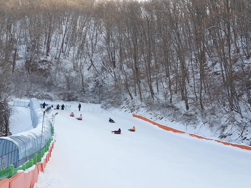 1월 축제일정 백운계곡 동장군 축제