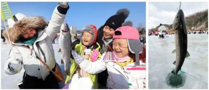 평창 송어축제