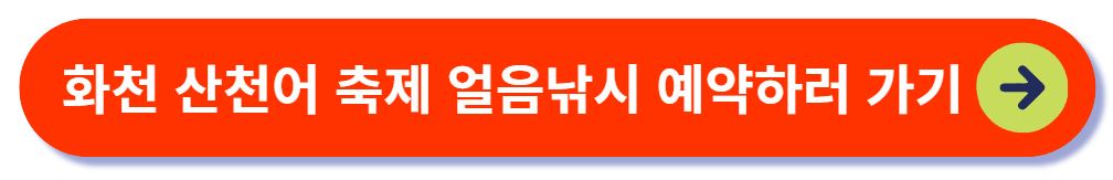 화천 산천어 축제 예약하기