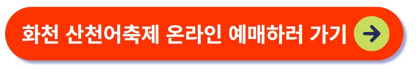 2025 화천 산천어축제 온라인 예매