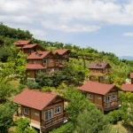 국립산림치유원